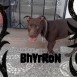 bhyron 8 meses