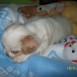 Ares de bb =)