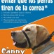 Productos para Perros