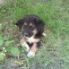 mi bebe
