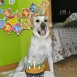 cumpleaños coco