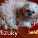 MIZUKY