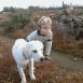 al campo con niebla