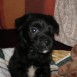 mi boby de bebe