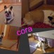 cora en casa