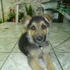 Bolt de 3 meses