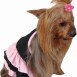 Ropa para perros - Accesorios para Mascotas y Peluqueria canina - Petit Pets