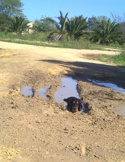 pegandome un baño en un charco de barro