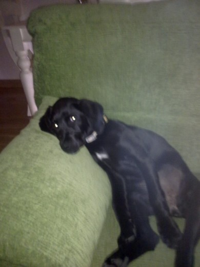 Agustito en el sillon