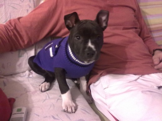 Con su jersey no tenia ni 3 mesecillos ^^