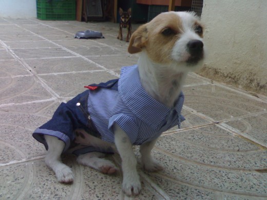 mi linda posando para mi vestida con su peto.