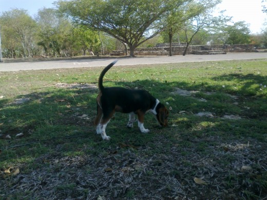 En busca de lo desconocido