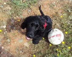 Desde pequeñito, me encanta la pelota.