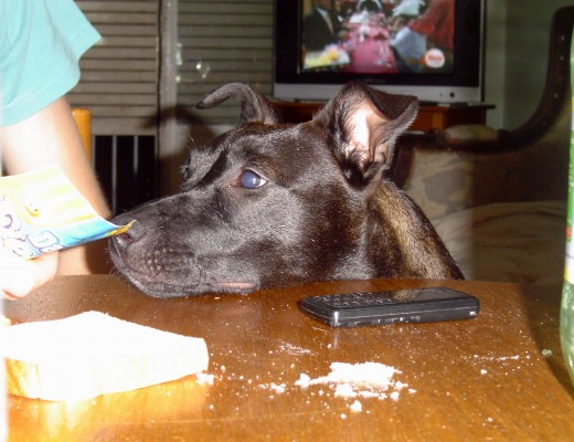 Viendo si liga algo de comer