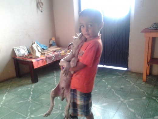 Mi hijo bryan y baster gran danes merle de 2 meses 
