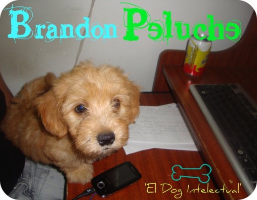 Mi perrito intelectual ayudandome a arreglar un trabajo del cole...!