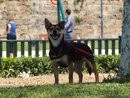 De paseo cerca del parque de mar.