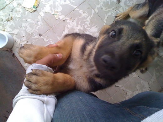 hitler a los 3 meses