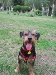 Un dia jugando a la pelota