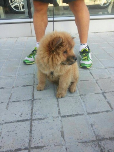 Dando un paseo por la mañana temprano