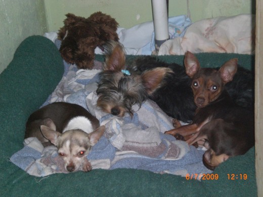 Los 3 hermanitos mas pequeños durmiendo juntos