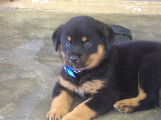 ahi tenia 1 mes y medio