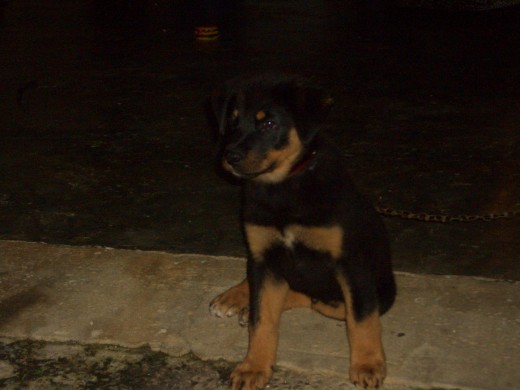 le gusta posar para la camara