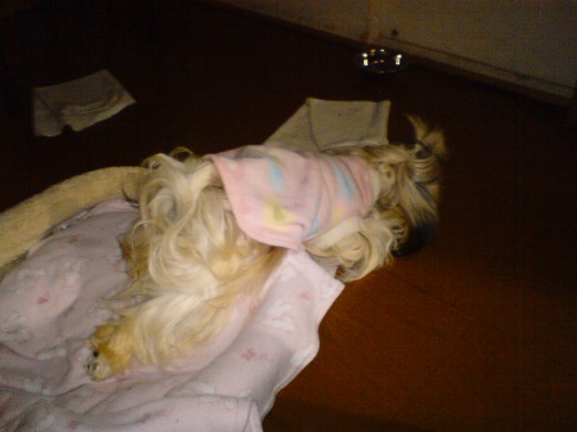 ssssssssssssssss.........................................