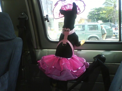 aquii con mi disfrazz de princess en hallowen en mi epoca de soltera!!