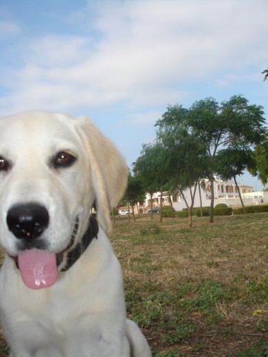 Primeros dias de parque.