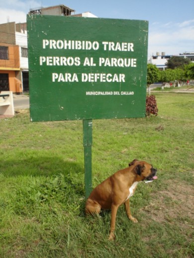 en el parke x mi casa , esta muchacha no respeta nada!! cuando tenia 4 años