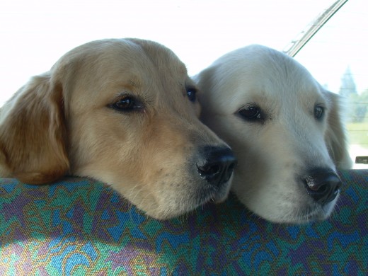 Un paseo en coche.