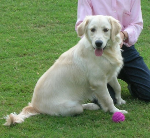 Jugando a la pelota en el parque