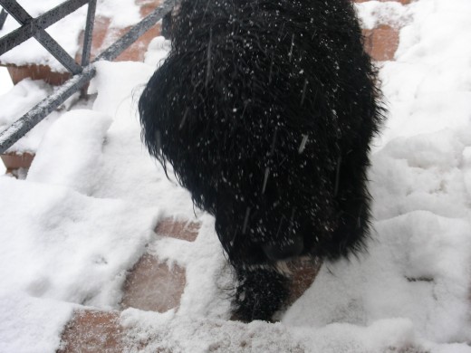 Esta empezando a nevar.
(Todavía no llego al año)