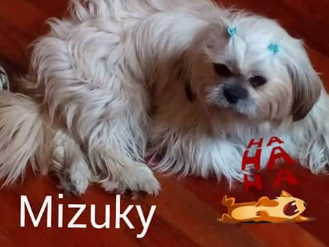 Mizuky mi bella BB