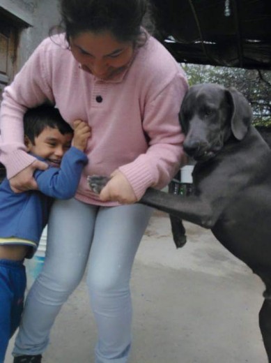 Jugando un poco con mi hijo mateo y nuestro perro ciro 