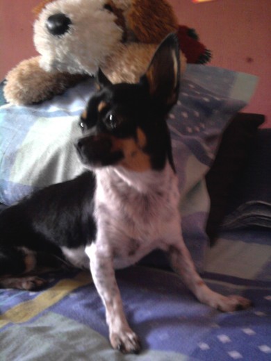 ella  soy yo que linda siy yo 
