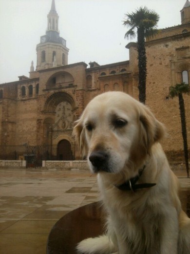 De vacaciones por la provincia de Toledo