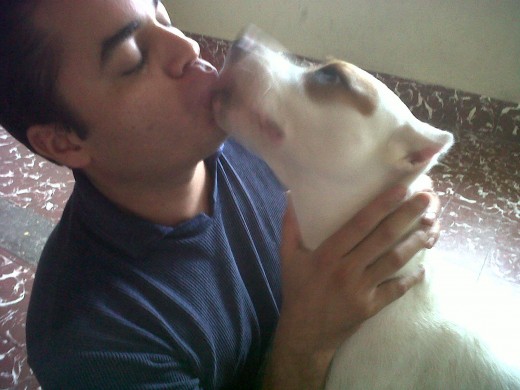 un beso perruno