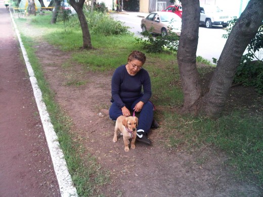 frida en su primer paseo con su mama