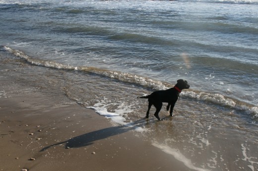 Experimentando la playa