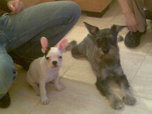 Con su amiguito Ninu