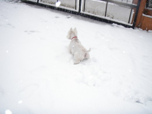 Jugando con la nieve con lo fria que estaba