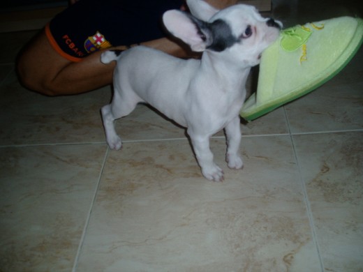 Le encantan las zapatillas jejejejejejeje