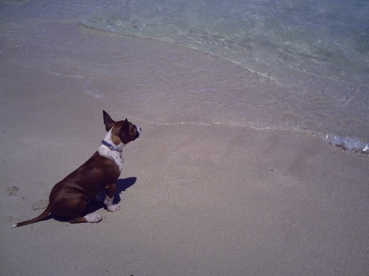 dudando si pegarse otro baño
