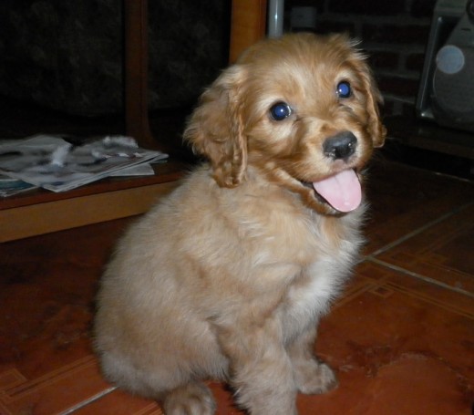 Aquí panchito posando para la foto