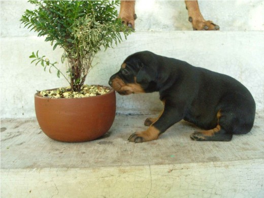 CONOCIENDO EL TERRENO