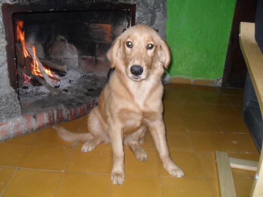 aqui me encuentro sentadita junto al fueguito, estoy muy calentita....