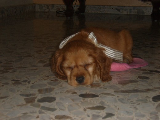 Durmiendo en mis pantuflas!
