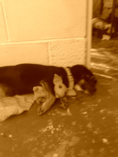 dormida con su cachorro de echo lo esta abrazando